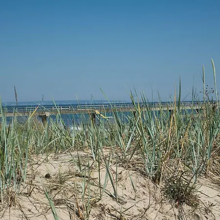Kleines Aber Feines Ferienhaeuschen In Strandnaehe - Tiny Nr 817 Holiday home *