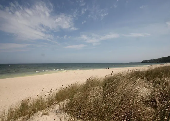 Tiny Nr 817 Holiday home