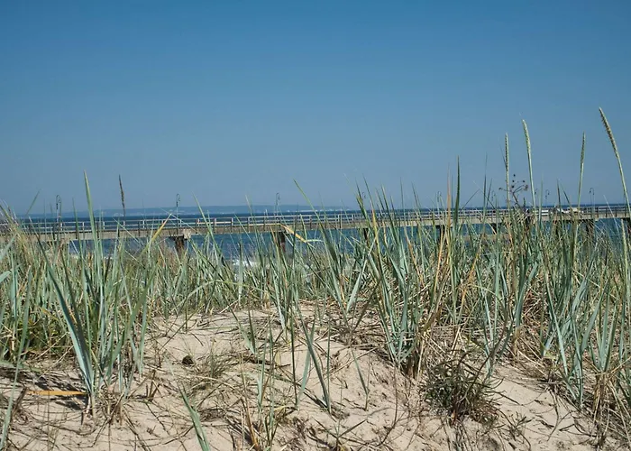 Tiny Nr 817 Holiday home *